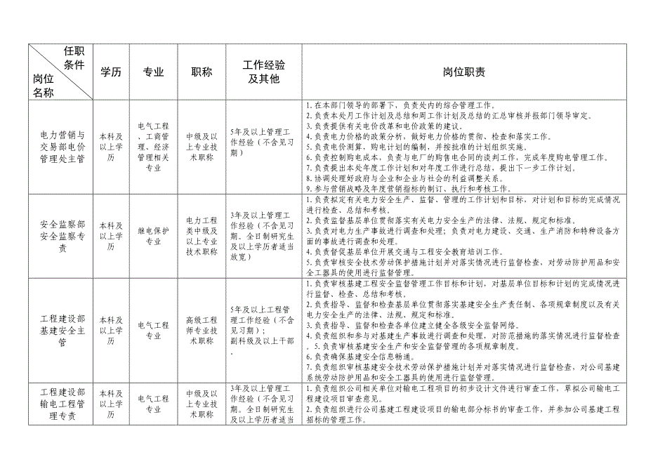 电网公司岗位职责（天选打工人）.docx_第2页