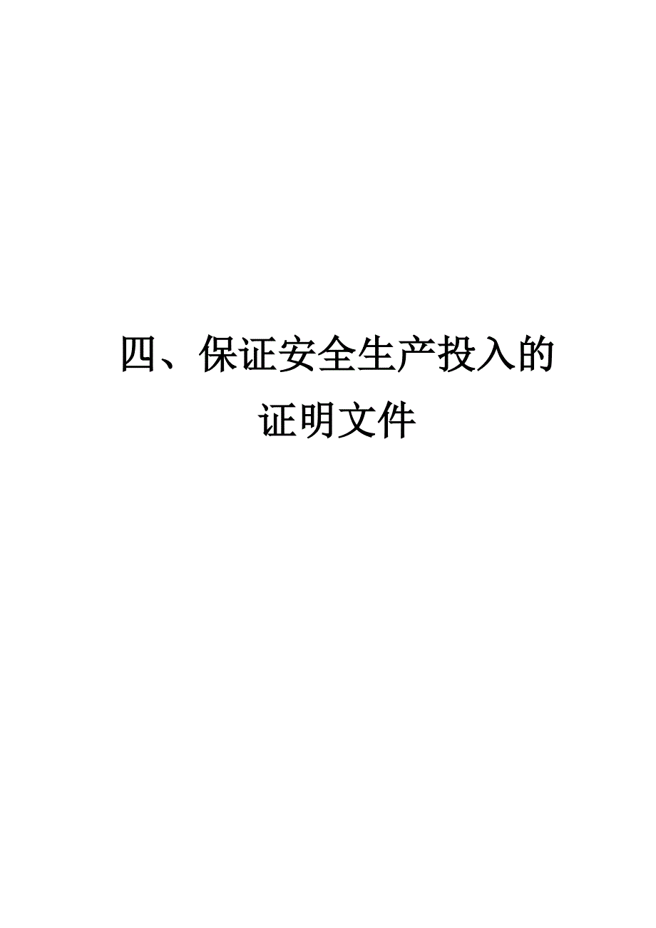 保证安全生产投入的证明文件_第1页