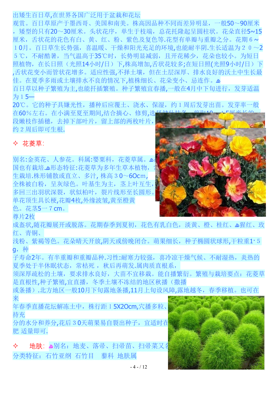 花卉种子介绍_第4页