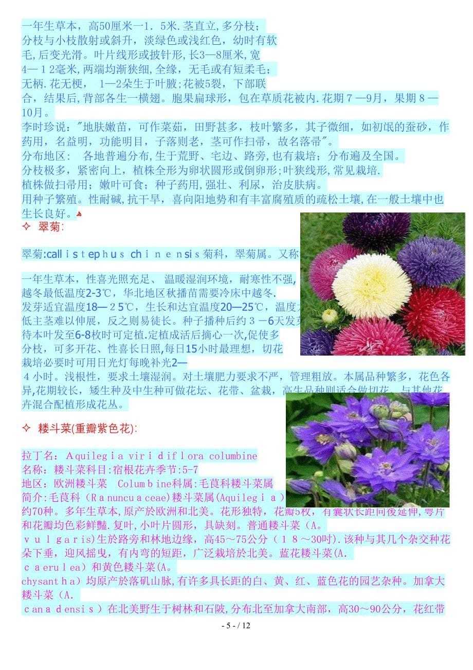 花卉种子介绍_第5页