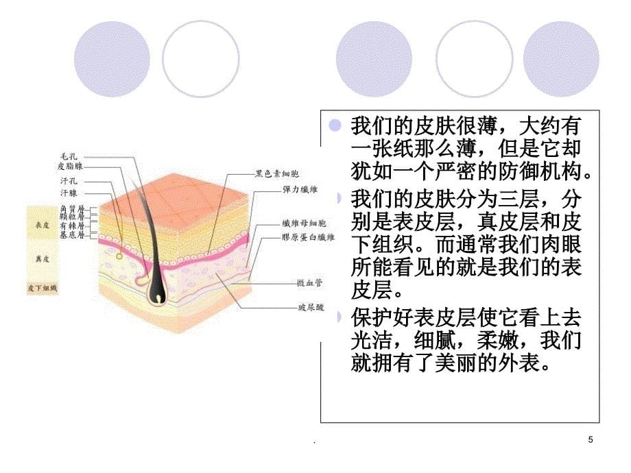 夏季皮肤病诊治医学课件_第5页