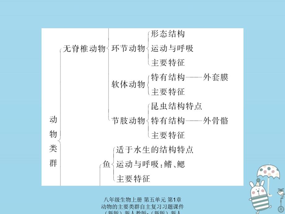 最新八年级生物上册第五单元第1章动物的主要类群自主复习习题课件_第3页