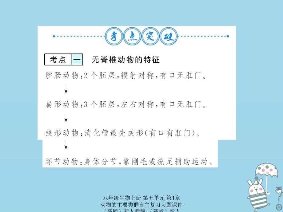 最新八年级生物上册第五单元第1章动物的主要类群自主复习习题课件_第5页