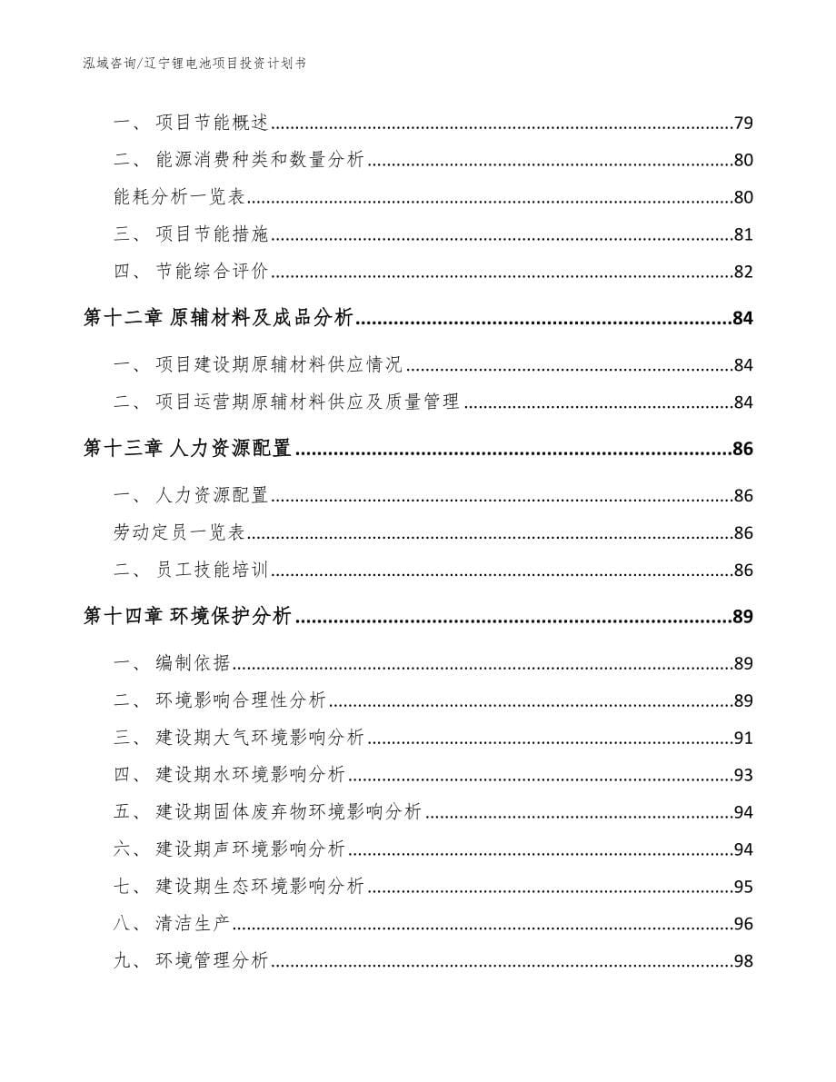 辽宁锂电池项目投资计划书（参考范文）_第5页