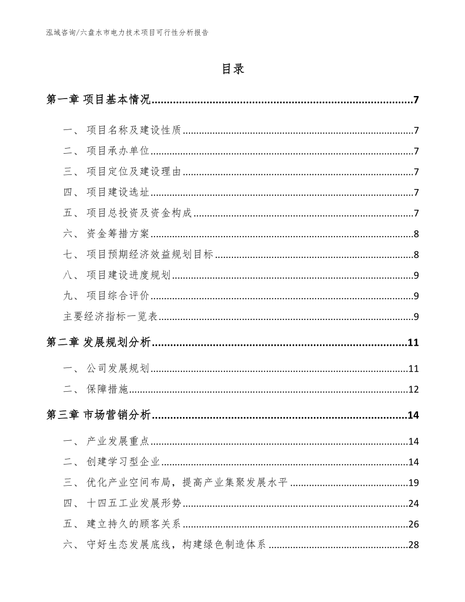 六盘水市电力技术项目可行性分析报告模板范本_第2页