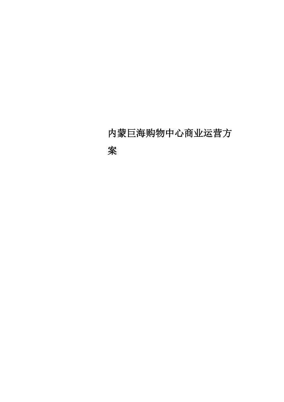 内蒙巨海购物中心商业运营方案_第1页
