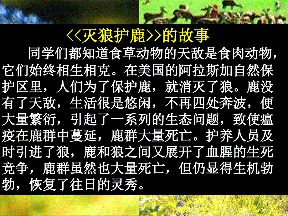 第八课竞争合作求双赢公开课教案课件_第2页