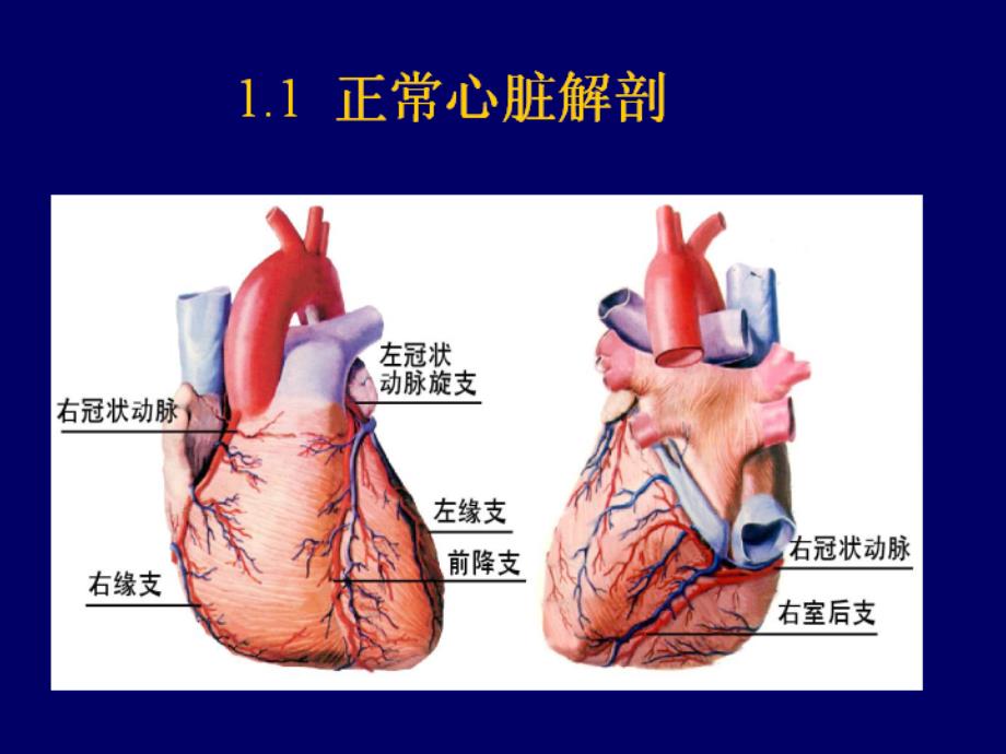 心力衰竭培训教学汇总培训课件_第2页