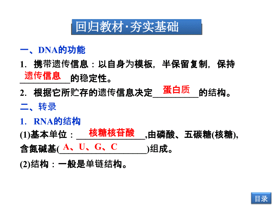 63遗传信息的表达_第3页