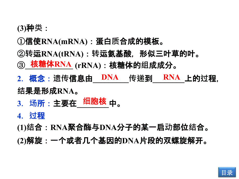 63遗传信息的表达_第4页