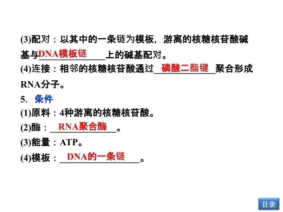 63遗传信息的表达_第5页