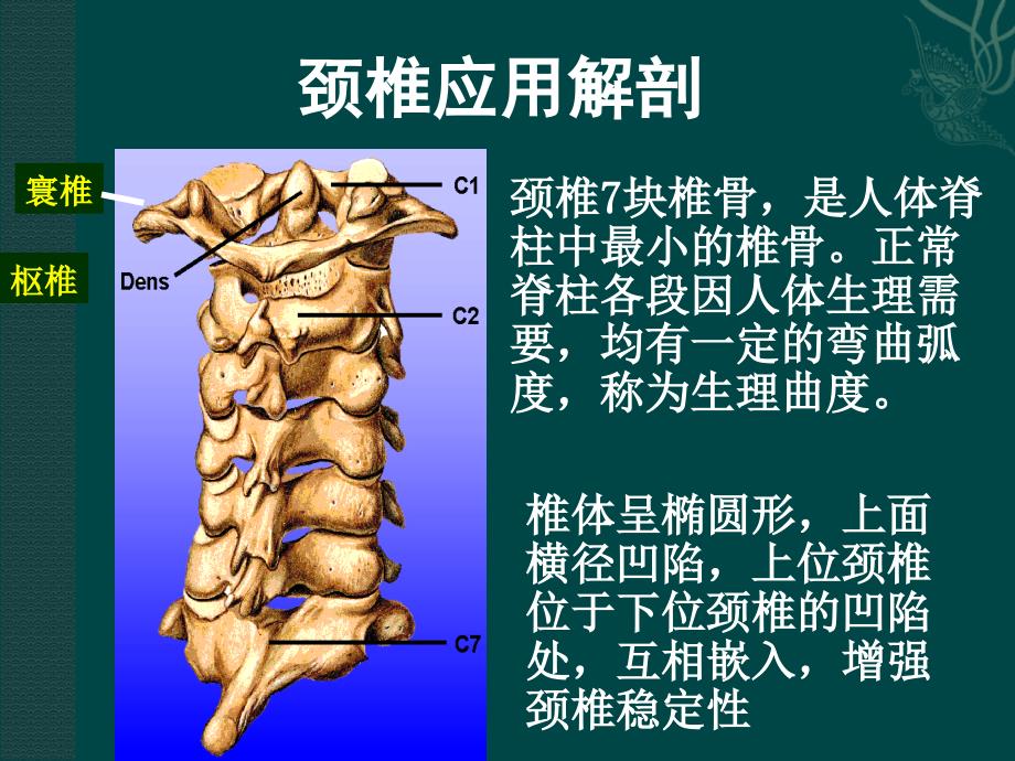 颈椎病诊疗及康复锻炼ppt课件_第3页