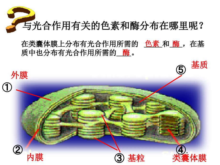 光合作用优秀课件讲解学习_第3页