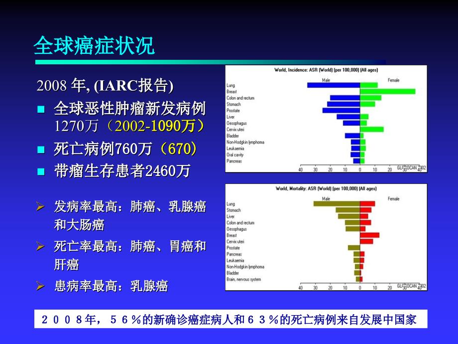 第八章外源化合物致癌作用_第3页