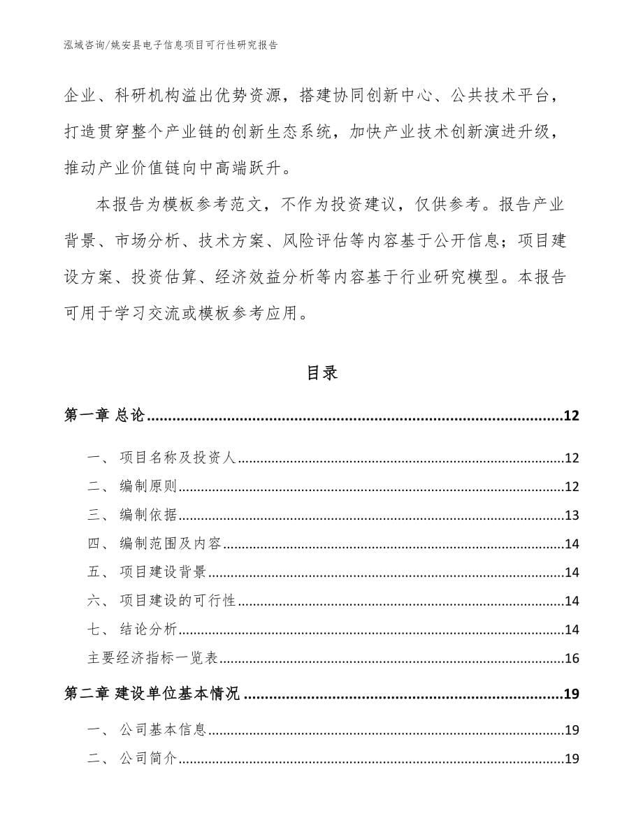 姚安县电子信息项目可行性研究报告_第5页