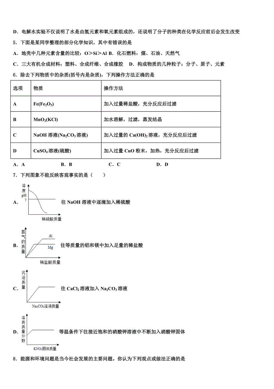 2023年辽宁省抚顺市新宾满族自治县重点名校中考冲刺卷化学试题（含答案解析）.doc_第2页