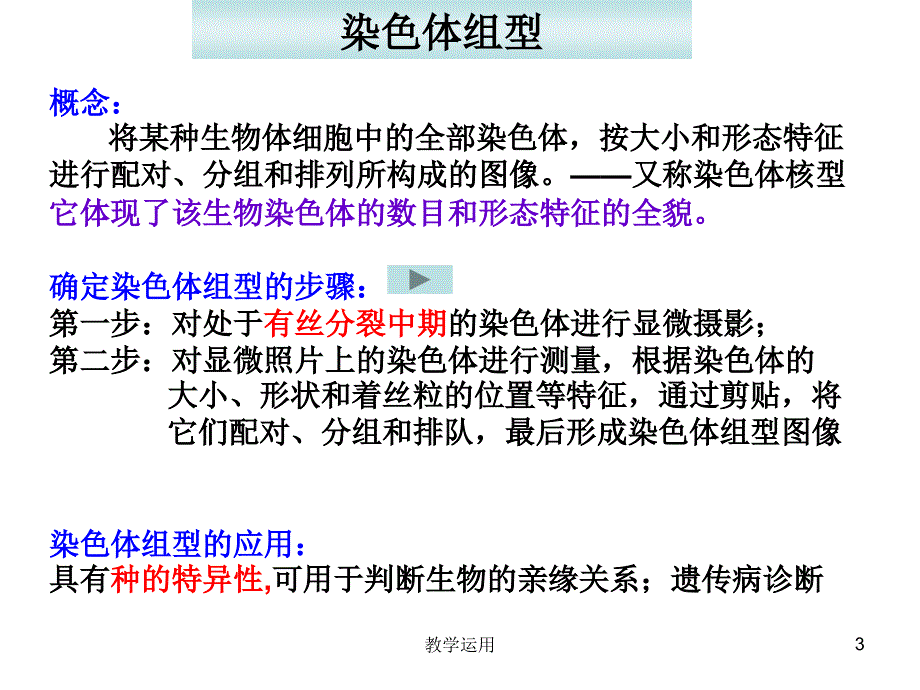 性染色体与伴性遗传ppt高教课堂_第3页