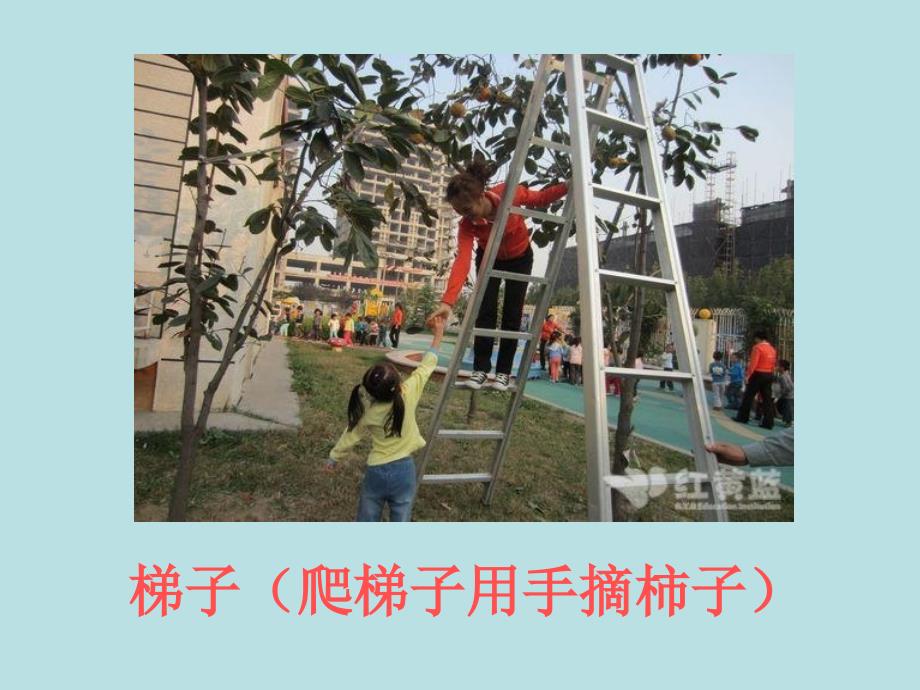 大班制作摘柿子的工具_第4页