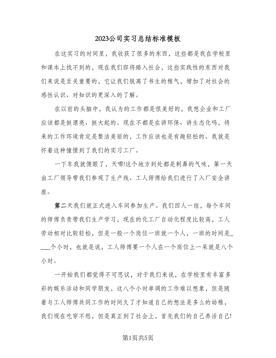 2023公司实习总结标准模板（2篇）.doc_第1页