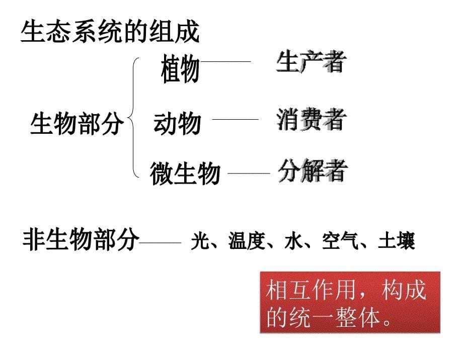 制作一个生态瓶课件_第5页