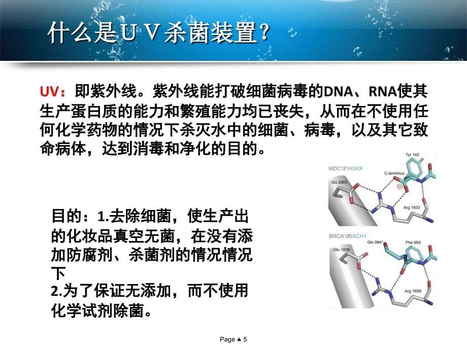 ANAB无添加化妆品用水_第5页