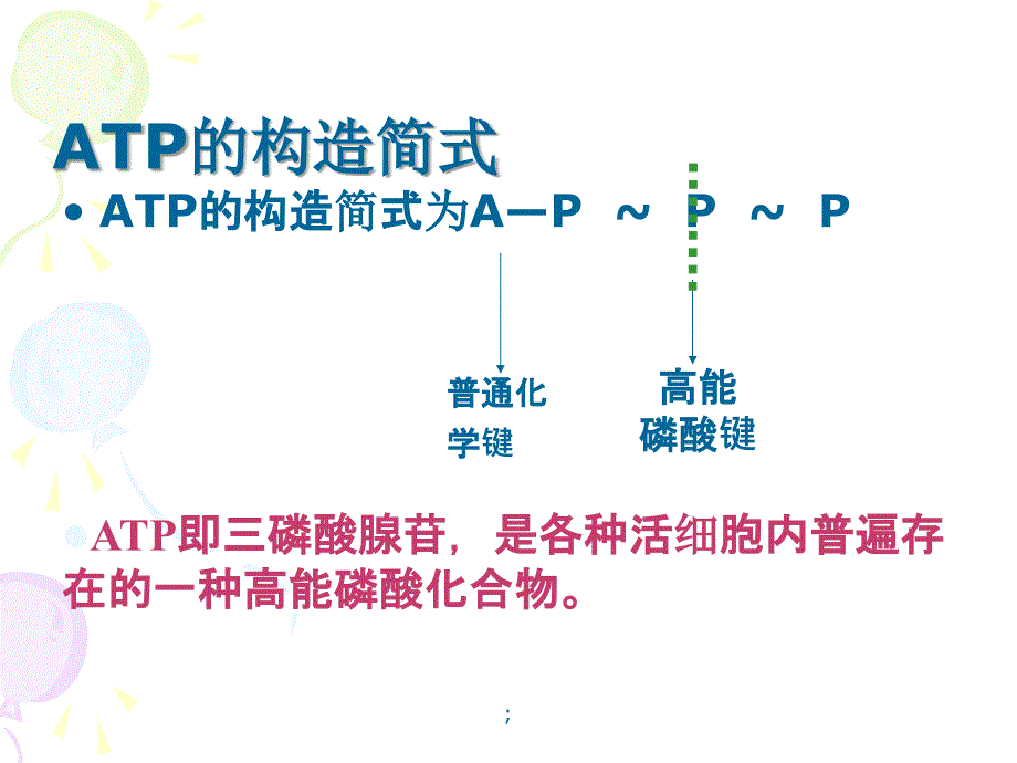 生物奥赛细胞代谢ppt课件_第4页