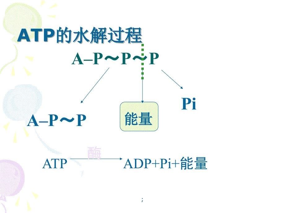 生物奥赛细胞代谢ppt课件_第5页