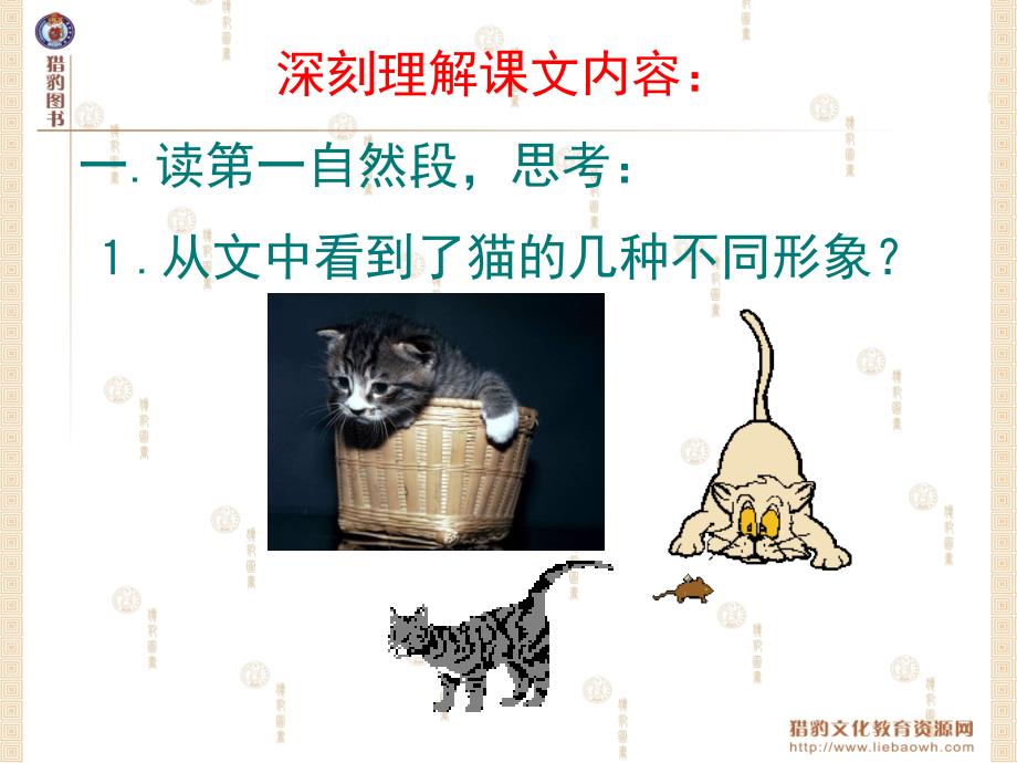 15猫教学课件1_第4页