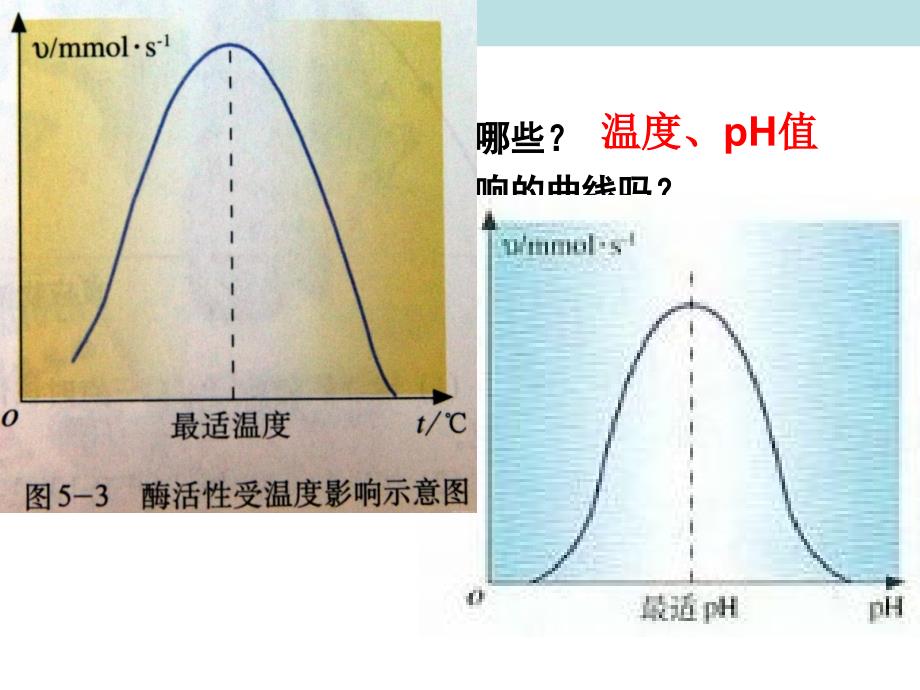 4.1果胶酶在果汁生产中的作用课件林凤_第4页