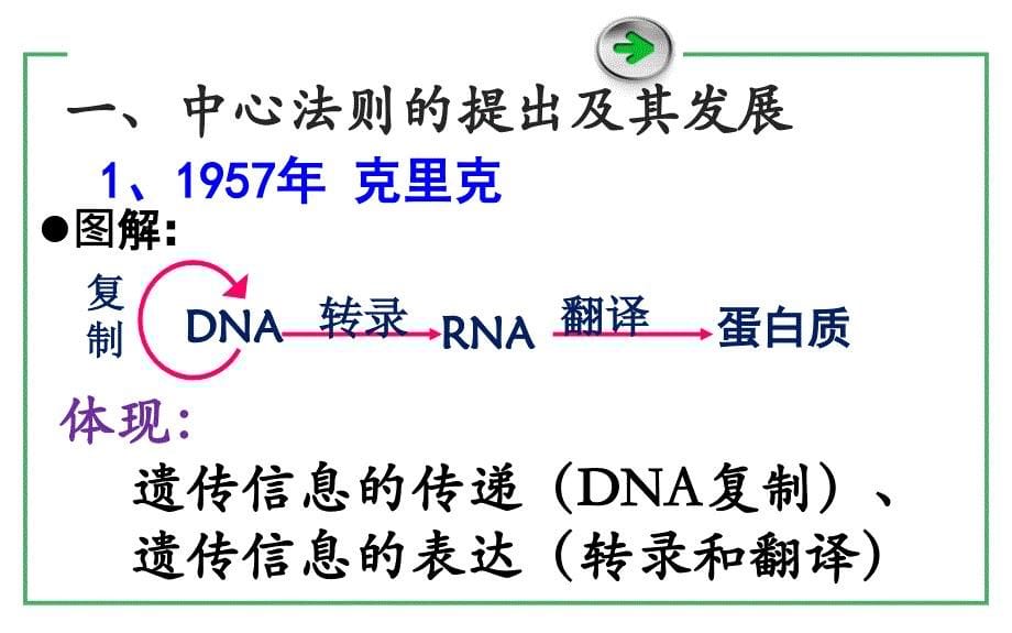 基因对形状的控制PPT课件_第5页