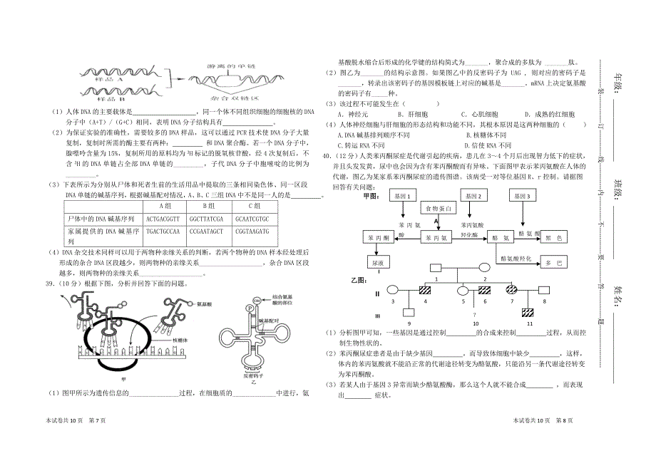 2009-2010学年高一生物期末试卷人教版必修2_第4页