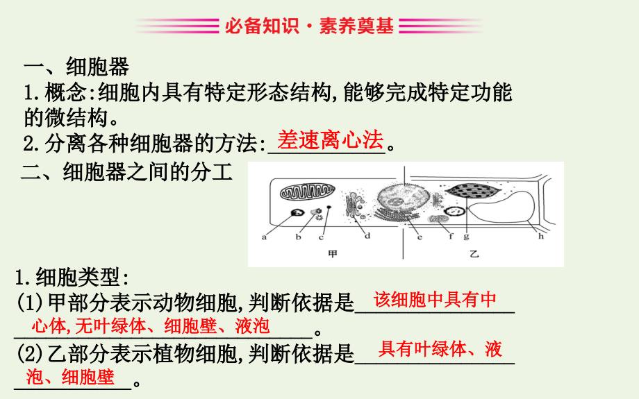 版新教材高中生物32细胞器之间的分工合作321课件新人教版必修1_第2页