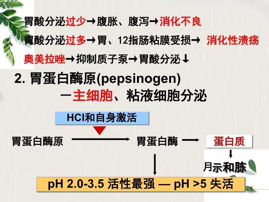 药学本科消化第四节胃内消化》课件_第5页