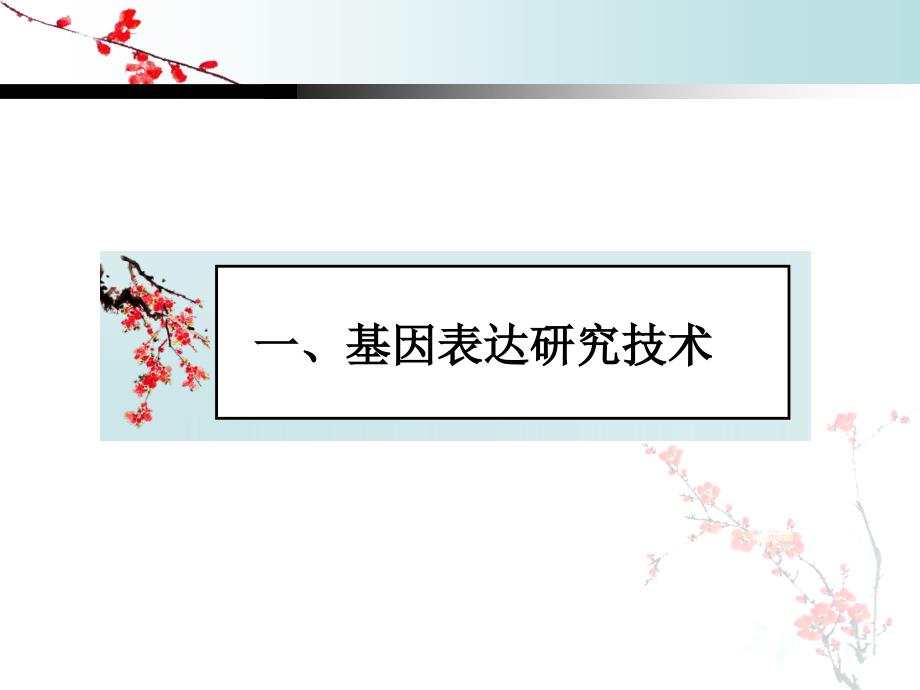 第六章 分子生物学研究法下 ppt课件_第2页