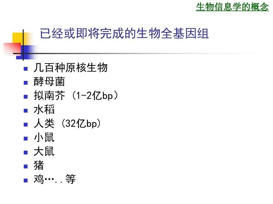 生物信息学课件_第5页