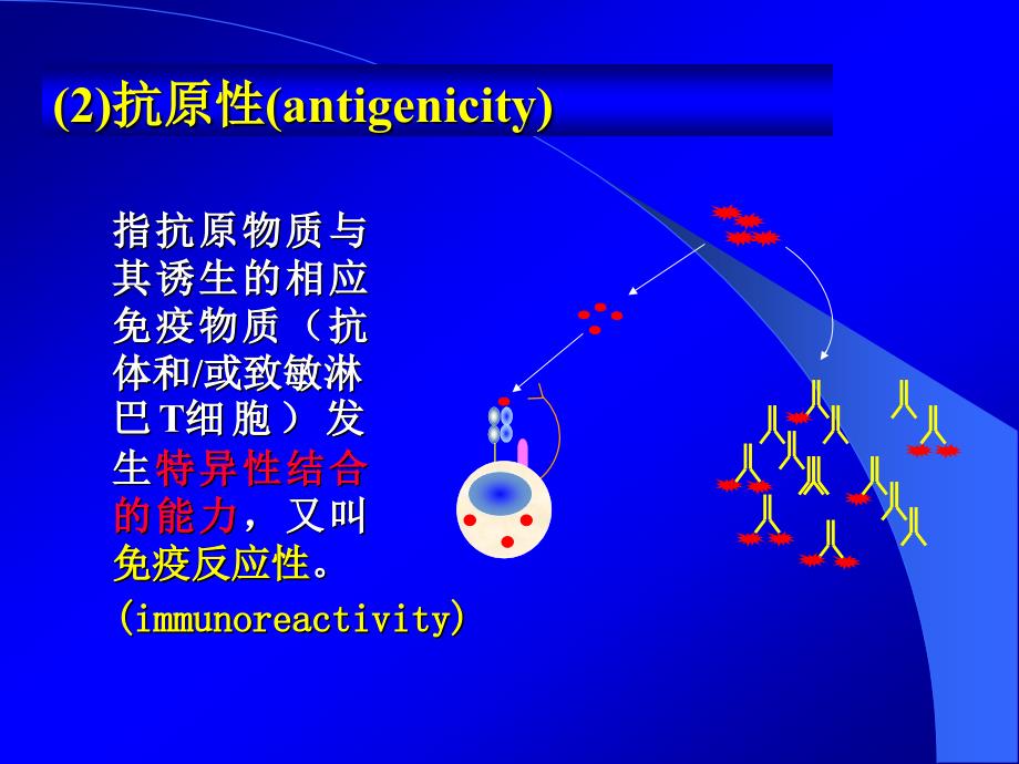 第2讲抗原第3章_第4页