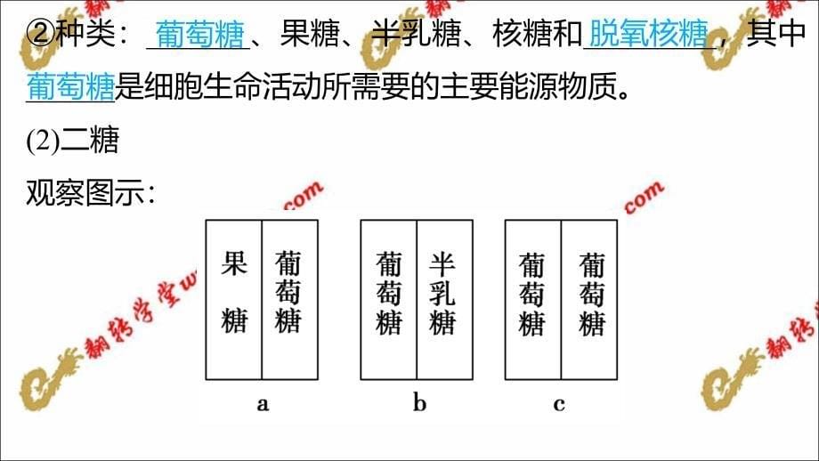 细胞中的脂质ppt课件_第5页