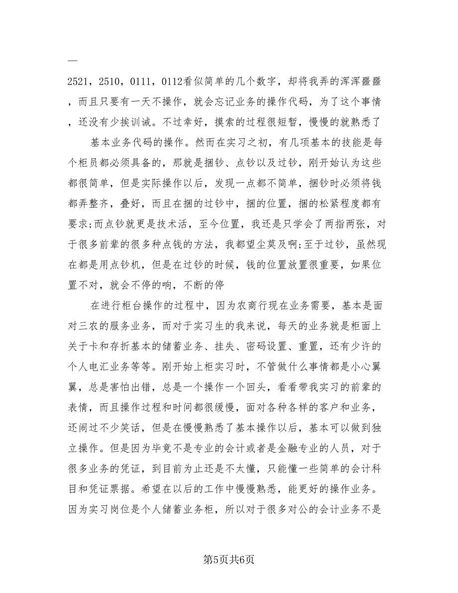 银行柜员个人实习工作总结（2篇）.doc_第5页