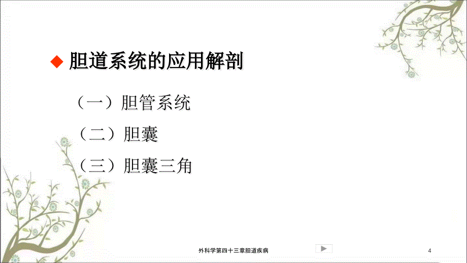 外科学第四十三章胆道疾病课件_第4页