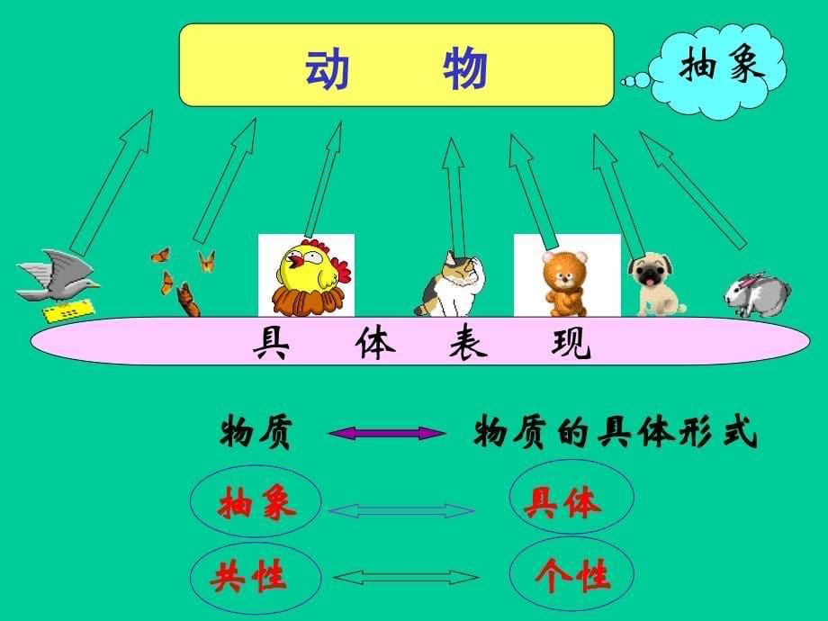 高中政治必修四 哲学4.1世界的物质性_第5页