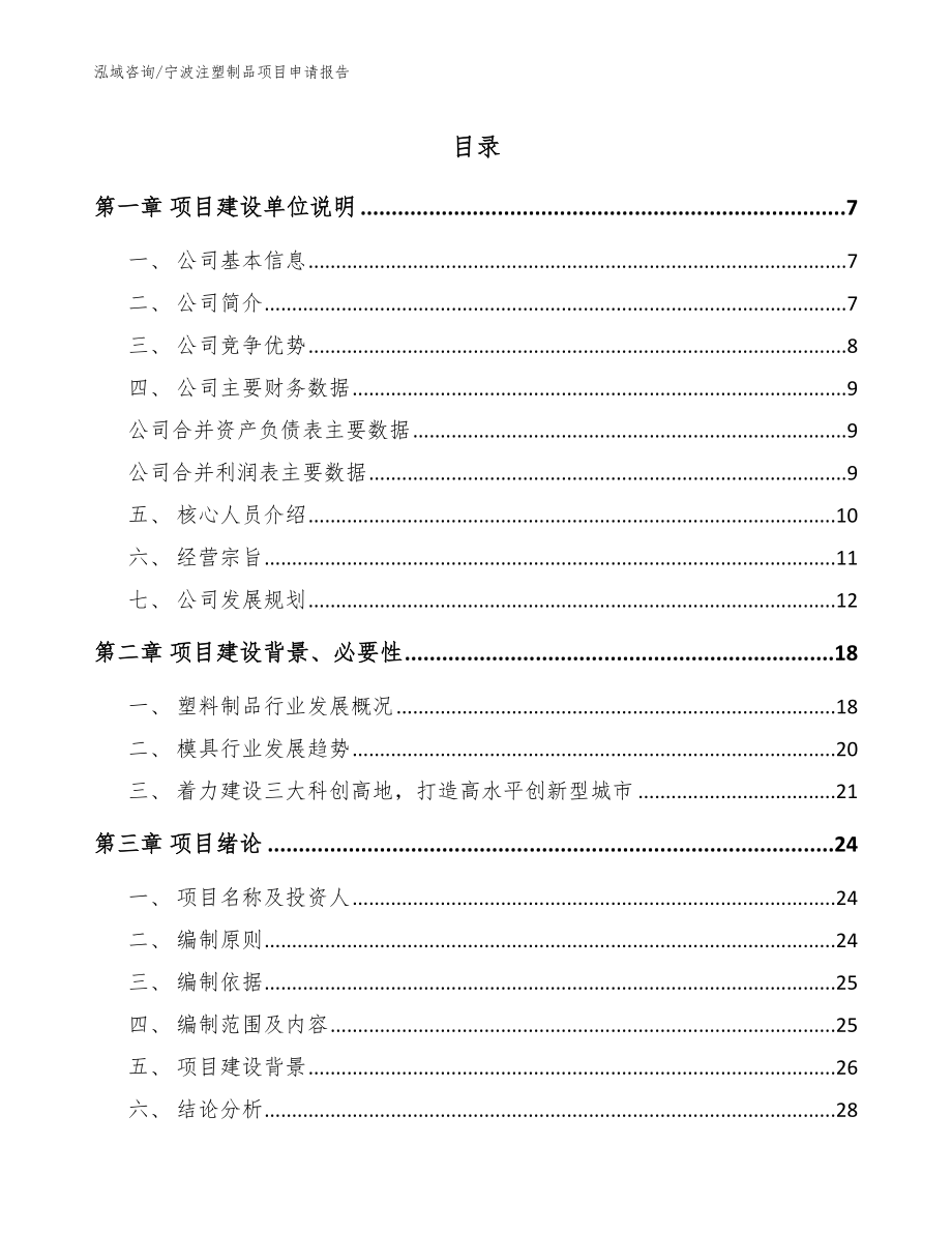 宁波注塑制品项目申请报告（范文模板）_第1页