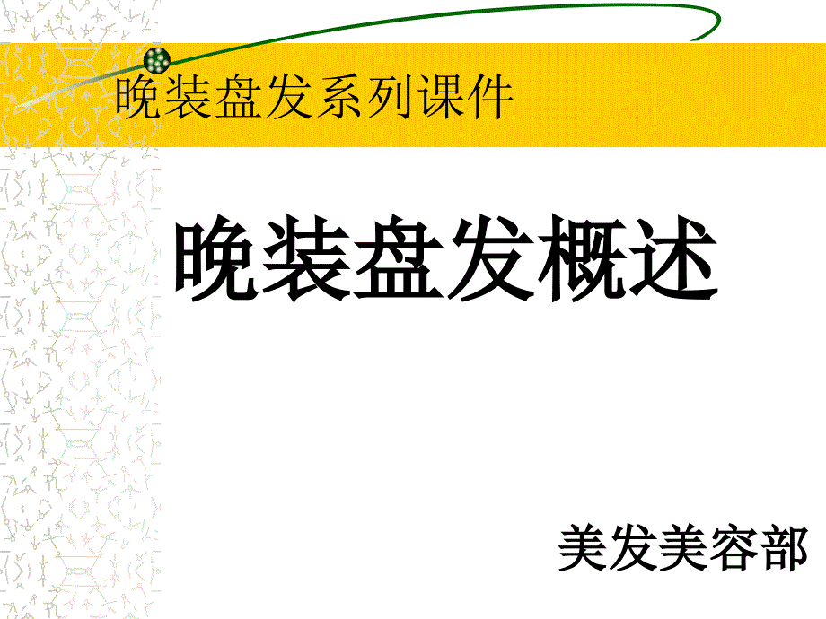 晚装盘发概述PPT课件_第1页