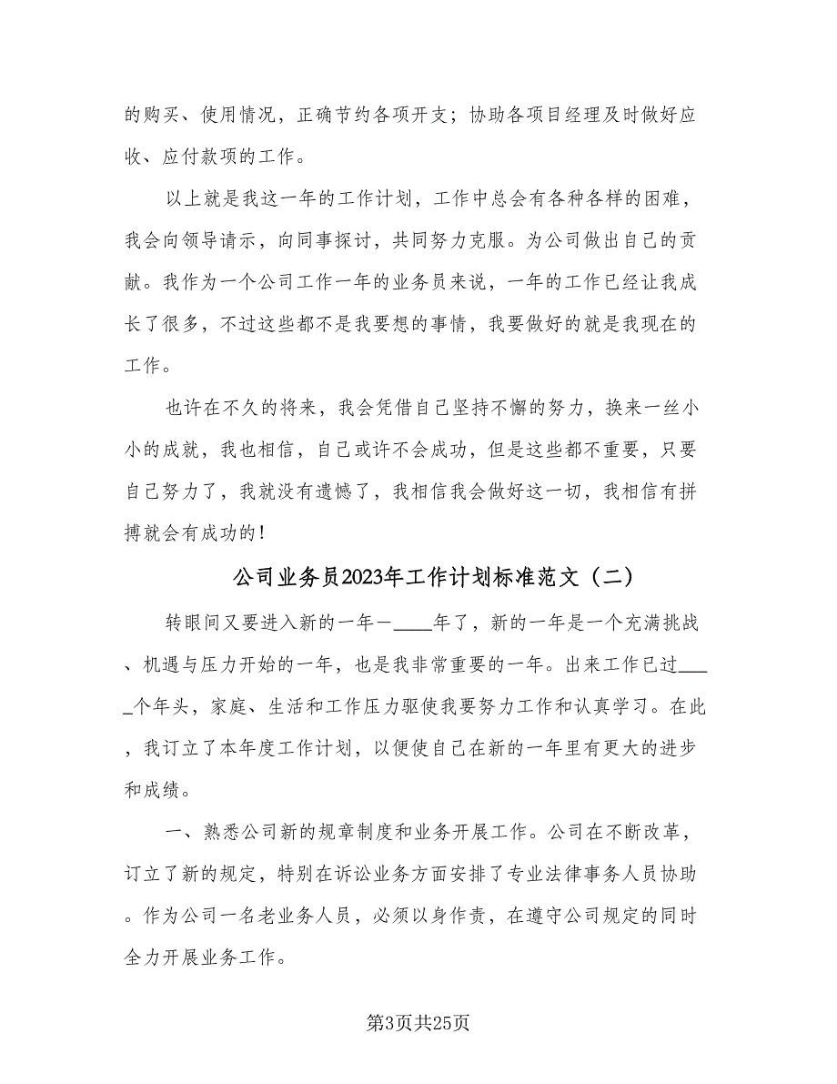 公司业务员2023年工作计划标准范文（9篇）_第3页