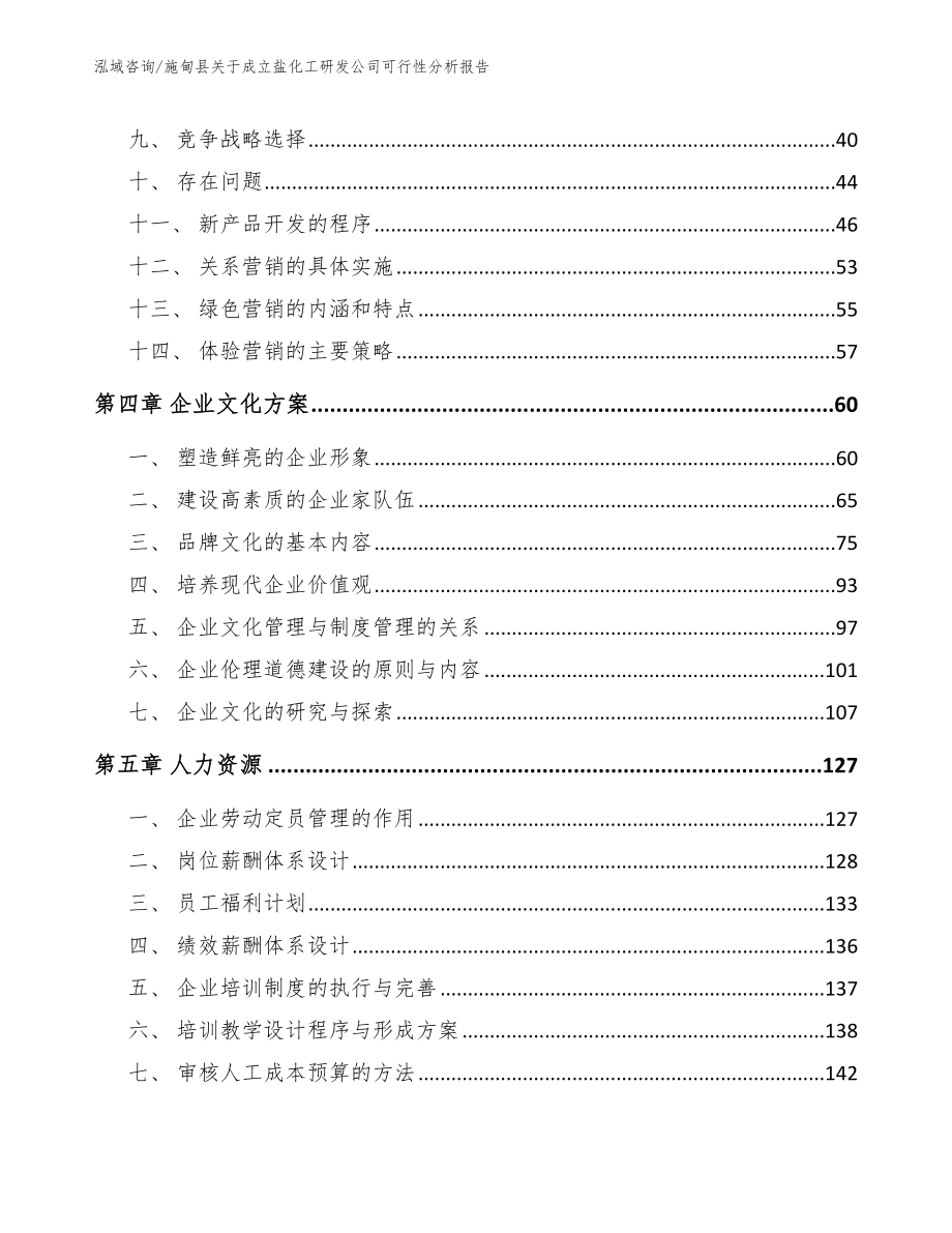 施甸县关于成立盐化工研发公司可行性分析报告模板_第3页