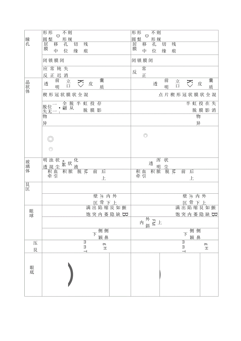 眼科专科检查表_第2页