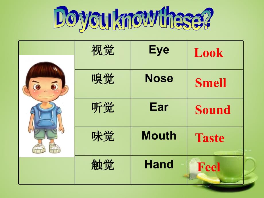 八年级英语下册 Module 1 Feelings and impressions课件_第3页