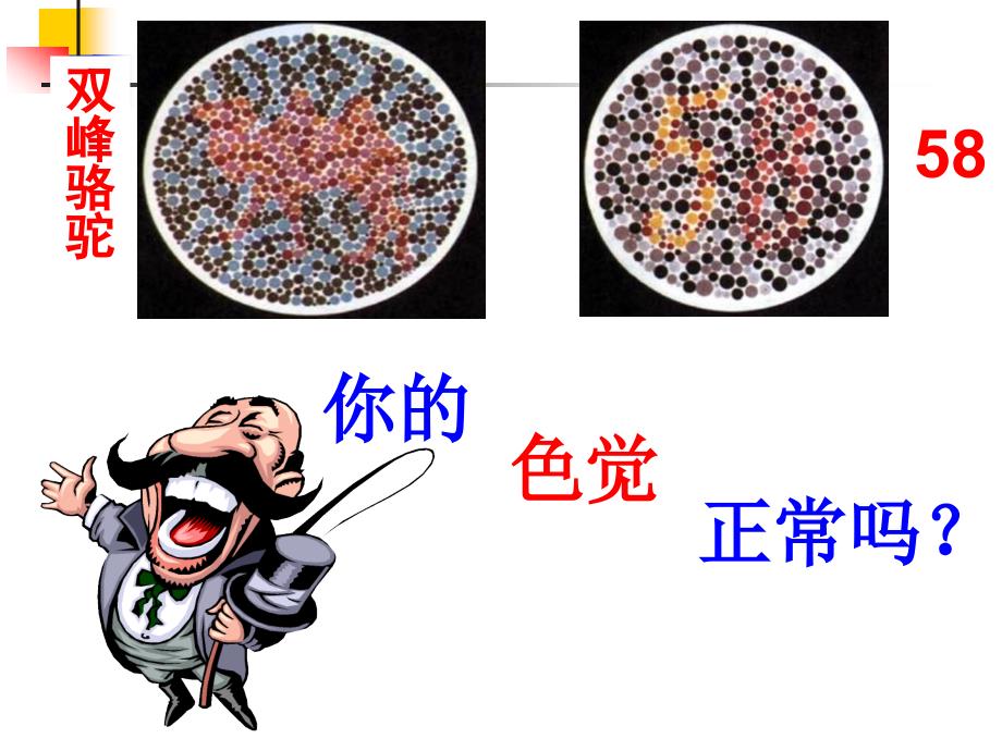 23伴性遗传第一课时_第1页