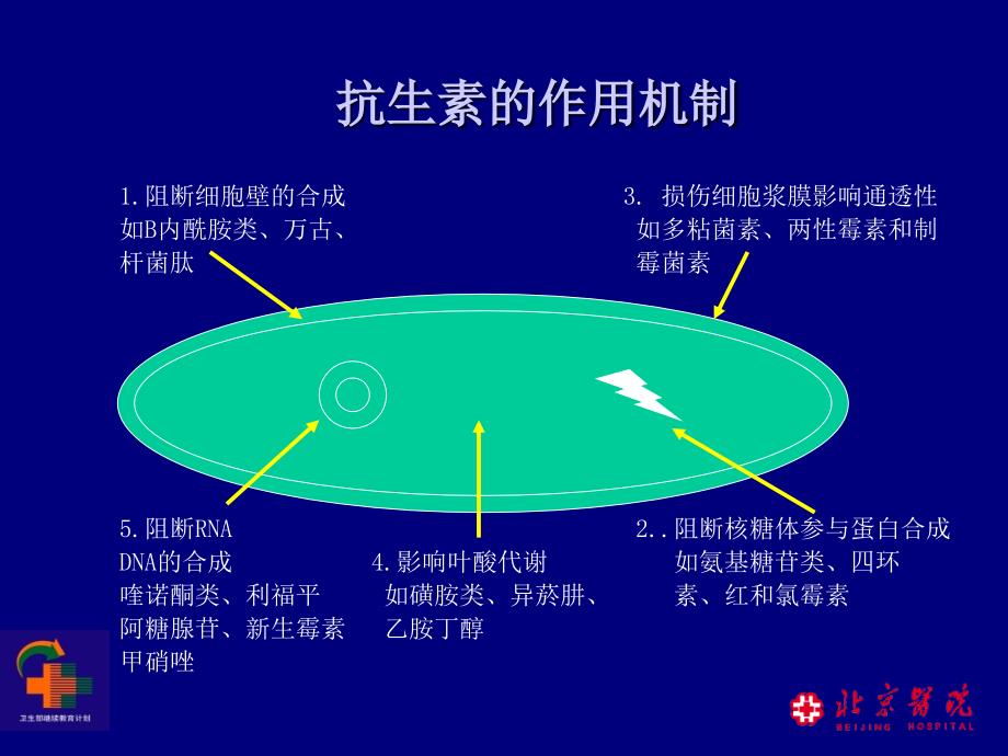 19抗生素分类及合理应用PPT文档资料_第1页