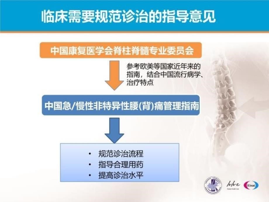 中国急慢性非特异性腰背痛指南解读电子教案_第5页