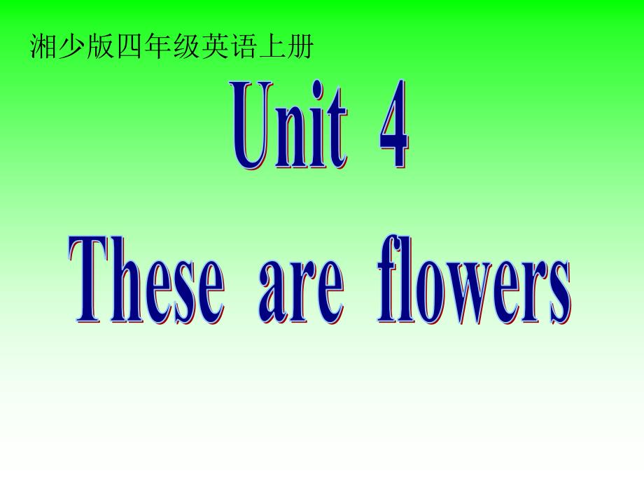 湘少版四上Unit4Thoseareflowers第一课时_第1页